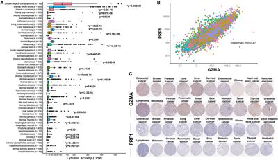 The Expression and Prognostic Impact of Immune Cytolytic Activity-Related Markers in Human Malignancies: A Comprehensive Meta-analysis